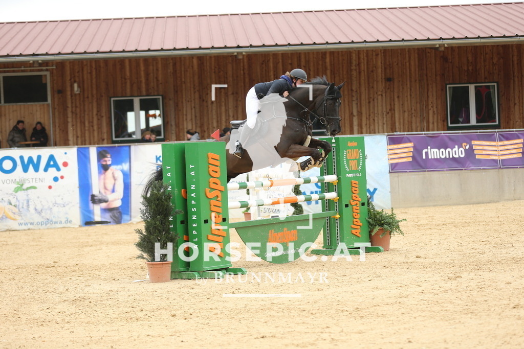 DL2Q5750 | Willkommen bei Brunnmayr - Design & Fotografie – Ihrem Spezialisten für Reitturniere und Pferdeveranstaltungen in Oberösterreich, Salzburg und Bayern! Seit über 17 Jahren sind wir leidenschaftlich dabei.