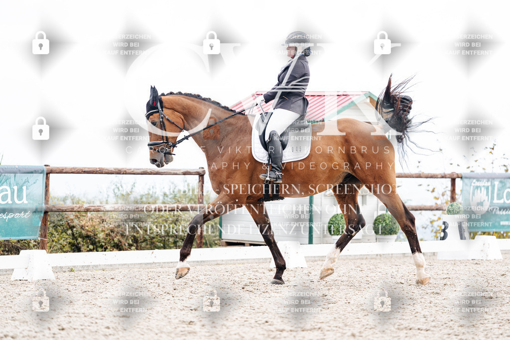 CK900810 | Turnierfotografie Pferdefotografie Trier Rheinland-Pfalz Pferdesport Reitsport Tierfotografie Sportfotografie Pferdevideo Pferdevideografie Equestrianvideography equestrianphotography  - Realisiert mit Pictrs.com