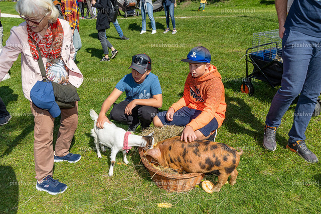 Kulinarischer Herbstreigen am Maltschacher See | Bildershop von pixelworld.at - Realisiert mit Pictrs.com