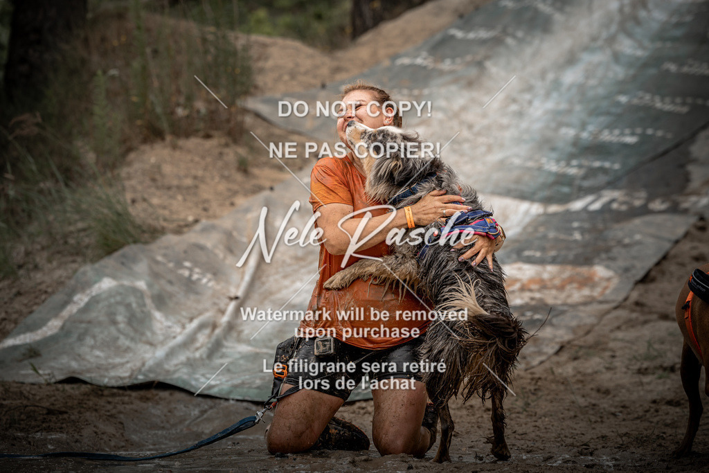 nelerasche_sa1230-1300_24 | nelerasche
