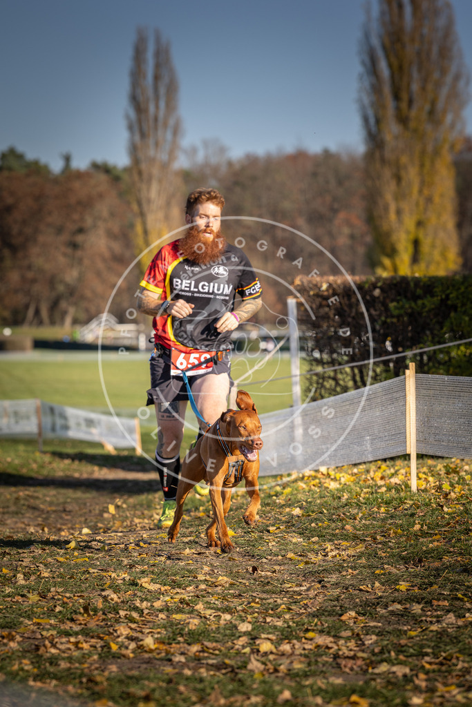 CaniXpix_DV3A0638 | Hundefotografie, Tierfotograf, Pfotenfotografie, Fotoshooting Hund, Hunde Portrait, Hundesport, Hundeportraits, Heideshooting, Hunde, Sportfotograf, Hundefotograf, Turnierhundsport, THS,  - Realisiert mit Pictrs.com
