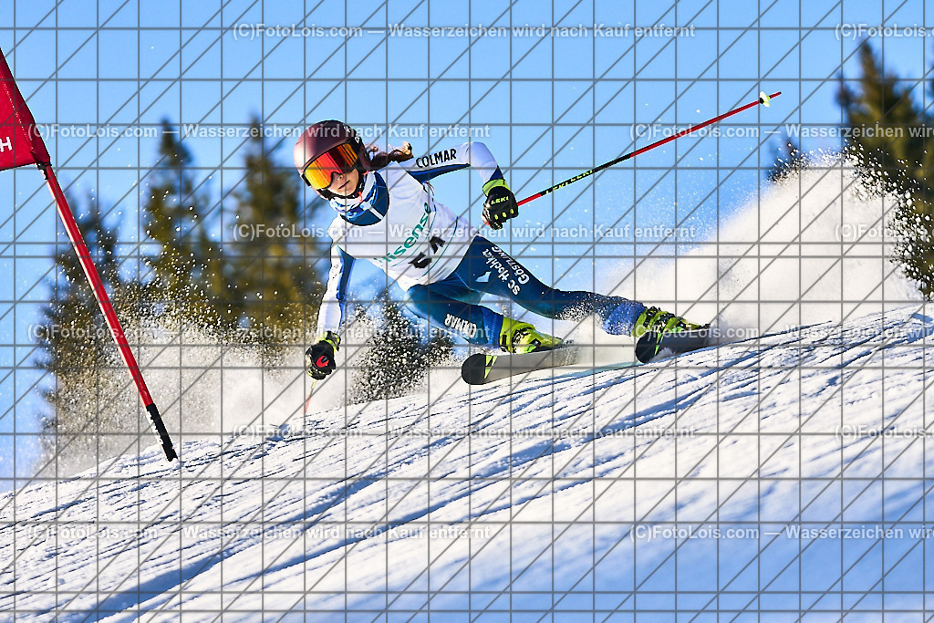 ALP3573_KinderVergleich-RTL-I_Trattenbach_Waschenegger Anna | NÖ Landeskindervergleichskampf-Riesentorlauf auf dem Feistritzsattel in zwei Durchgängen, Sa 25. Jänner 2025.