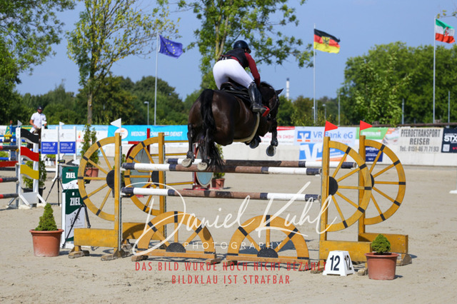 Gut Blee25_Zwei Phasen Springprfg S_0037 | Turniersportfotografie; Pferdefotografie; Dressurfotografie