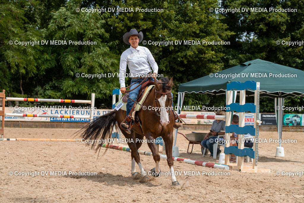 EWP_6178 | dv-media-shop - Realisiert mit Pictrs.com