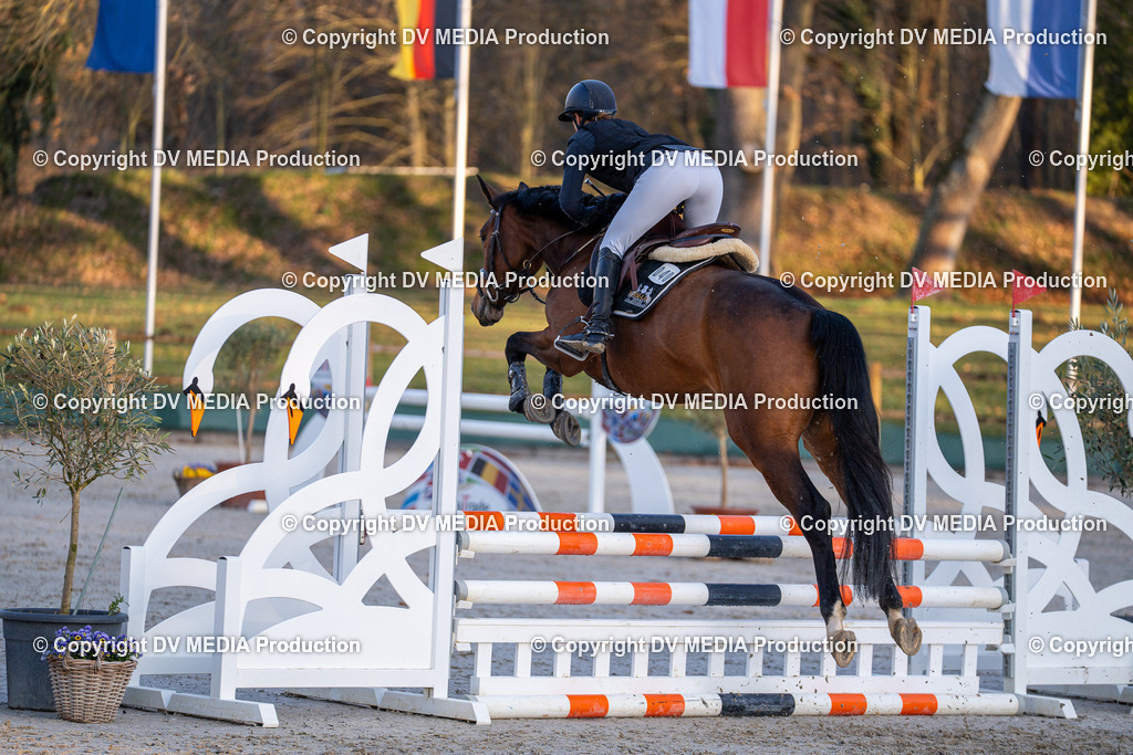 DSC-249 | dv-media-shop - Realisiert mit Pictrs.com