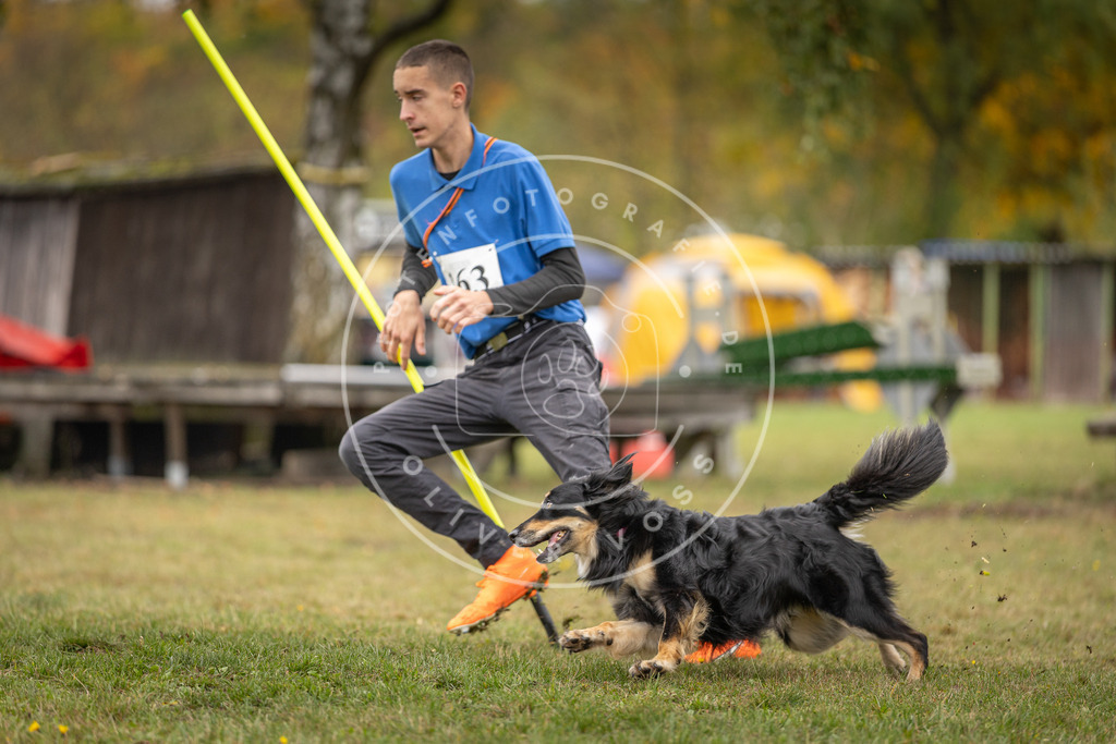 Pfotenfotografie_DV3A5020 | Hundefotografie, Tierfotograf, Pfotenfotografie, Fotoshooting Hund, Hunde Portrait, Hundesport, Hundeportraits, Heideshooting, Hunde, Sportfotograf, Hundefotograf, Turnierhundsport, THS,  - Realisiert mit Pictrs.com