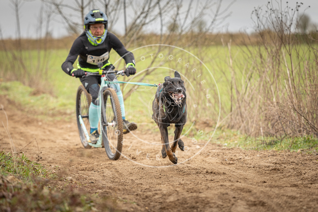 DV3A1354 | Hundefotografie, Tierfotograf, Pfotenfotografie, Fotoshooting Hund, Hunde Portrait, Hundesport, Hundeportraits, Heideshooting, Hunde, Sportfotograf, Hundefotograf, Turnierhundsport, THS,  - Realisiert mit Pictrs.com