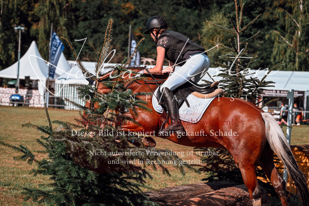 DSC_0952 | Pferde- und Turnierfotografie in Westsachsen. Pferdeportraits, Auftragszeichnungen und intuitive Kunst.