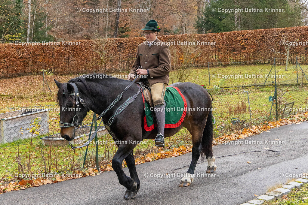 LL25-95 | foto-bettina-krinner - Realisiert mit Pictrs.com
