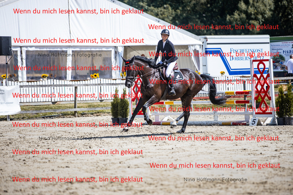 BK1A5198 | Turnierbilder Turnierfotos Nina Hüffmann Turnierfotografie Pferdefotografie Tierzeichnung Haustierzeichnung Pferdezeichnung Hundezeichnung Videograf  - Realisiert mit Pictrs.com