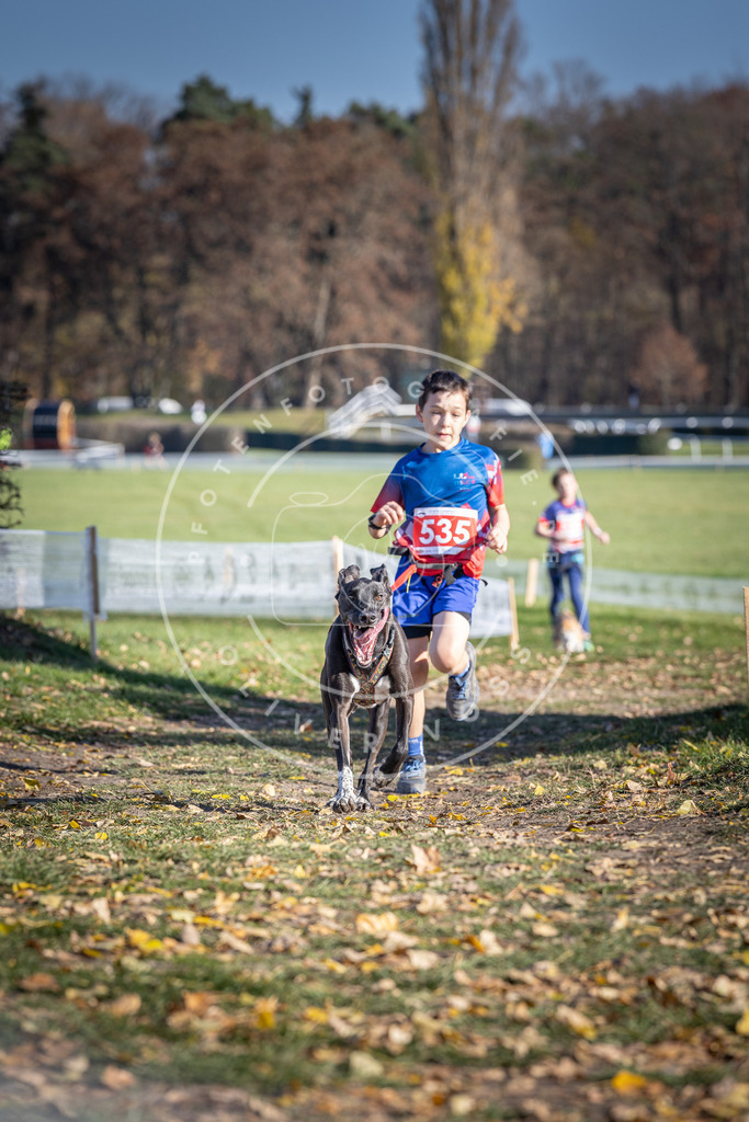CaniXpix_DV3A8280 | Hundefotografie, Tierfotograf, Pfotenfotografie, Fotoshooting Hund, Hunde Portrait, Hundesport, Hundeportraits, Heideshooting, Hunde, Sportfotograf, Hundefotograf, Turnierhundsport, THS,  - Realisiert mit Pictrs.com