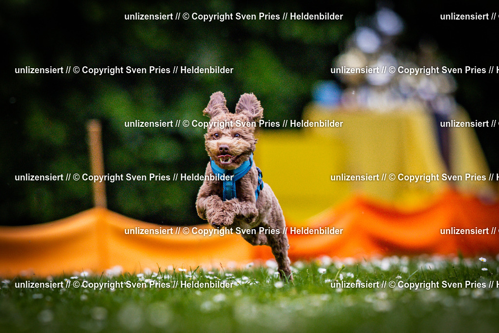 Sven Pries | 2025-05-29 - Pudelrennen KA-Durlach - Realisiert mit Pictrs.com