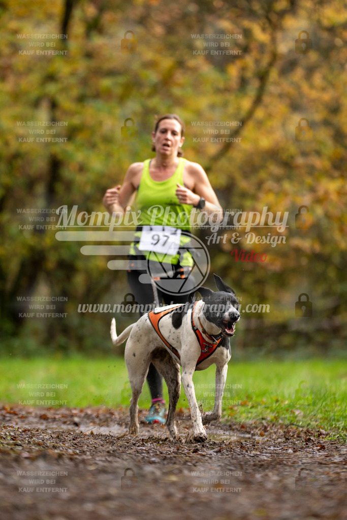 MompixPhotography_Bischwiller23_Canicross-40 | PayLife