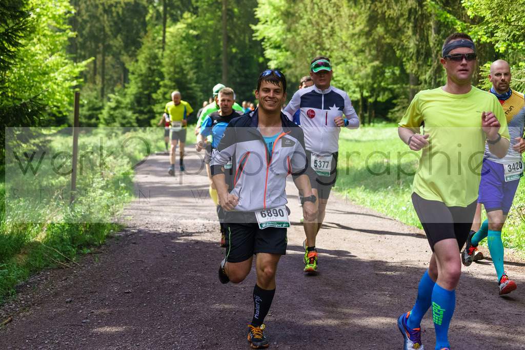 Rennsteiglauf 2017 | Neuhaus/Rwg. - Schmiedefeld am 19. Mai 2017