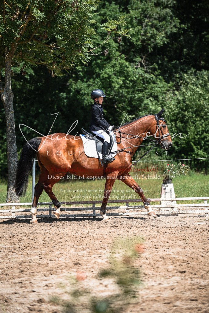 DSC_2995 | Pferde- und Turnierfotografie in Westsachsen. Pferdeportraits, Auftragszeichnungen und intuitive Kunst.