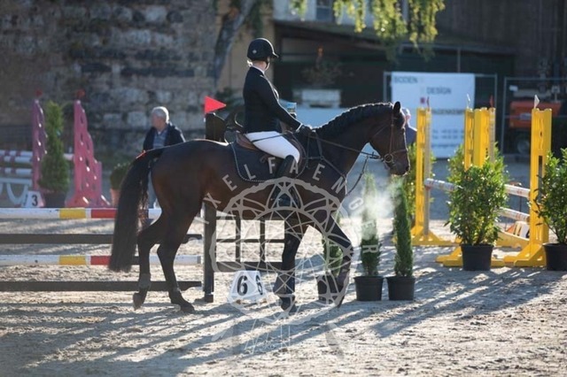 2B4A0026 | pixelfaenger - Realisiert mit Pictrs.com