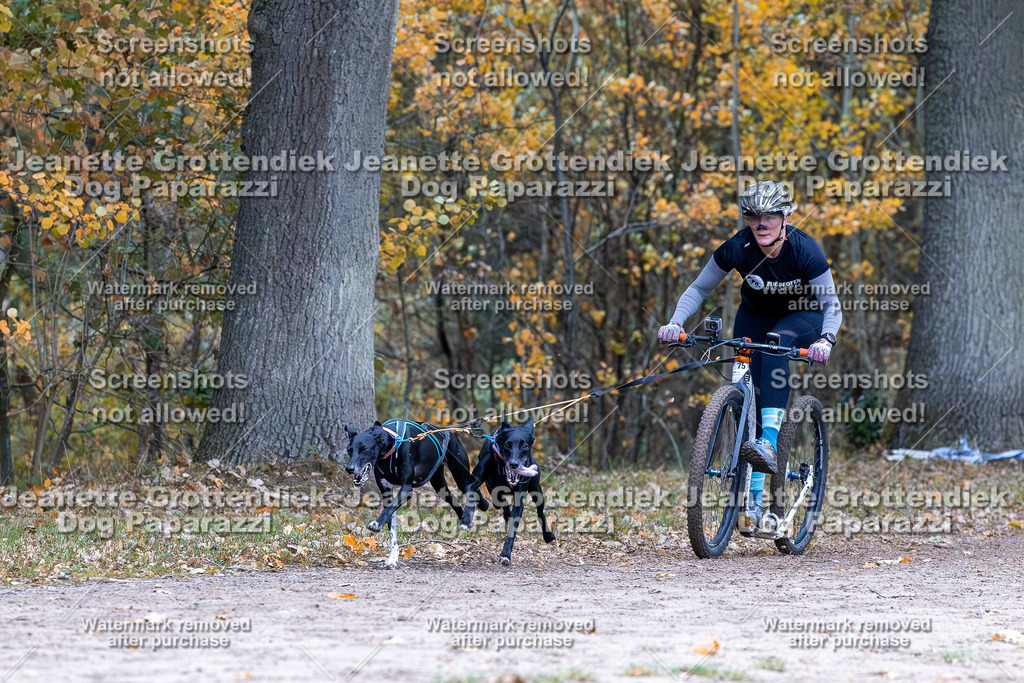 Dog Paparazzi - SD CaniX Championship 2025-156 | Dog Paparazzi Jeanette Grottendiek Fotografie & Videografie - Realisiert mit Pictrs.com