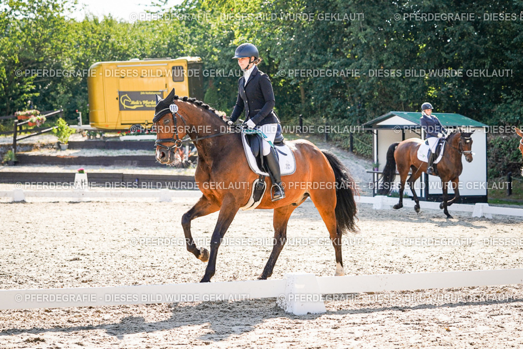 DSC00233 | Pferdegrafie