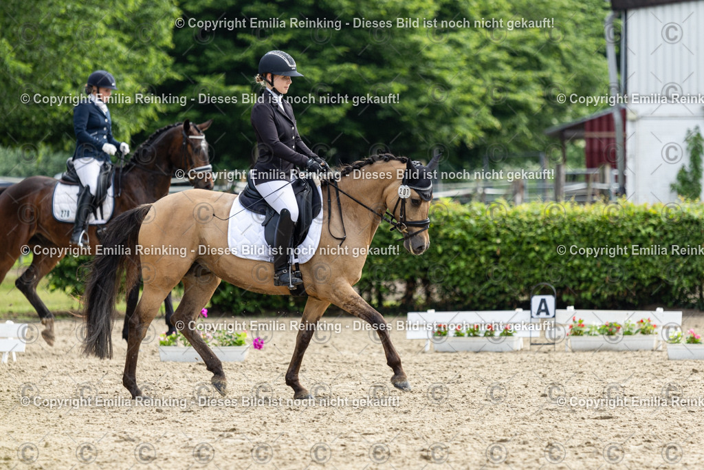 CL5A5181 | Emilia Reinking Fotografie - Realisiert mit Pictrs.com