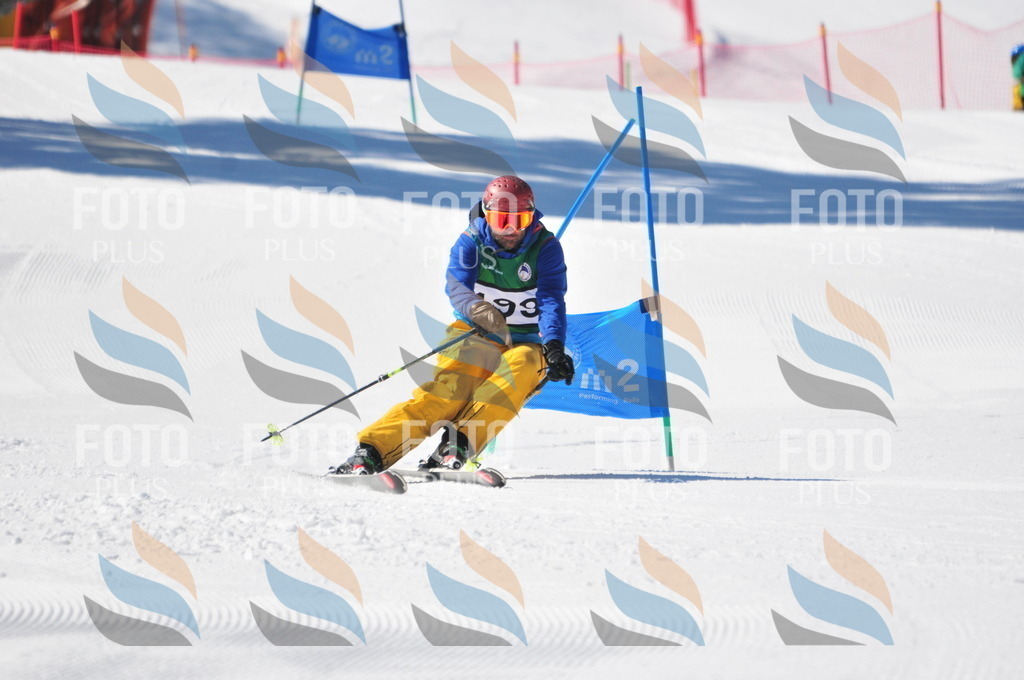 C4456 | holidayphoto