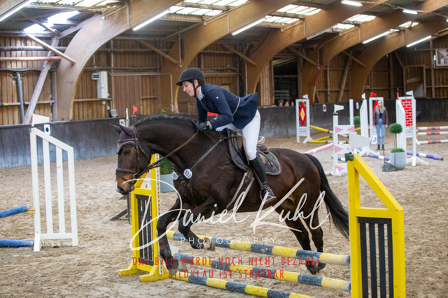 IMG_1852 | Turniersportfotografie; Pferdefotografie; Dressurfotografie