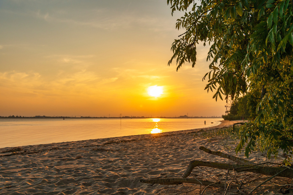 2023_08_18_HETLINGER-SCHANZEFile438 | Hochwertig gedruckte Fotografien für die Wand, als Kalender und zum Verschenken. Hamburg & Norddeutschland und überall wo ich mit der Kamera unterwegs war.