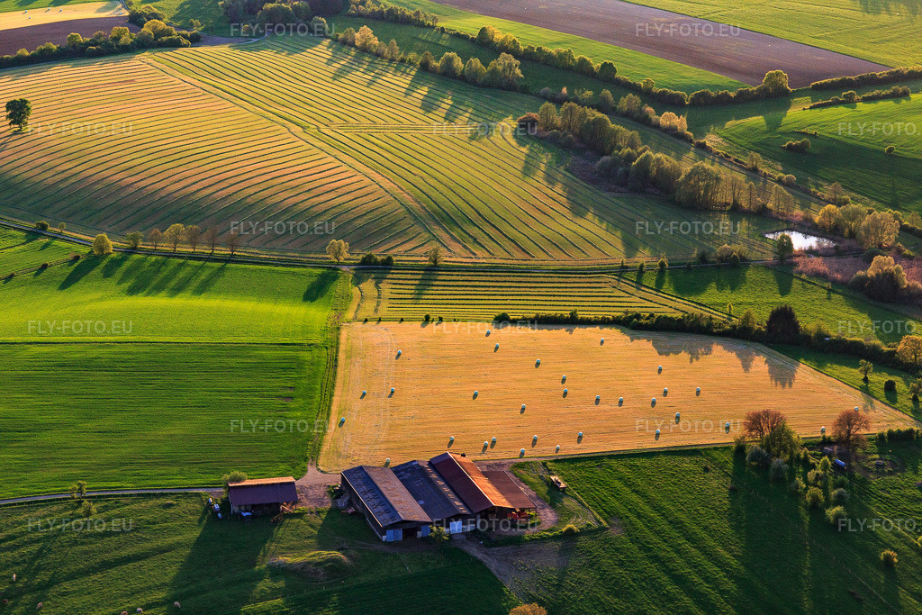 Vue aérienne: Prairies fauchées avec des bottes de foin dans une ferme à Rexingen dans le département Bas Rhin, France. Photo: IMG_145863.jpg prise le 30/04/2025 par Werner Riehm/FLY-FOTO.eu – Résolution de l'original: 5472 x 3648 px