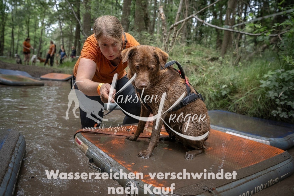 1217_ZZ98271T | kk-dogfotos