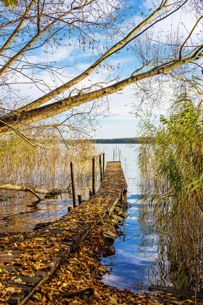 Steg und Baum am Plauer See in der Stadt Plau am See | Steg und Baum am Plauer See in der Stadt Plau am See.