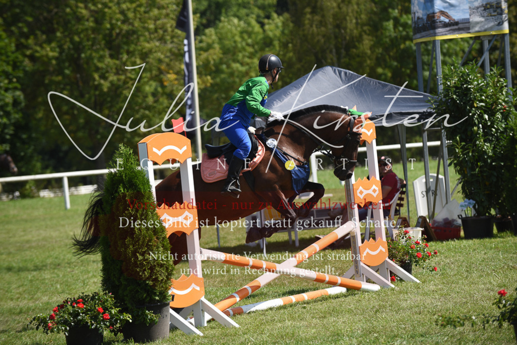 DSC_0259 | Pferde- und Turnierfotografie in Westsachsen. Pferdeportraits, Auftragszeichnungen und intuitive Kunst.