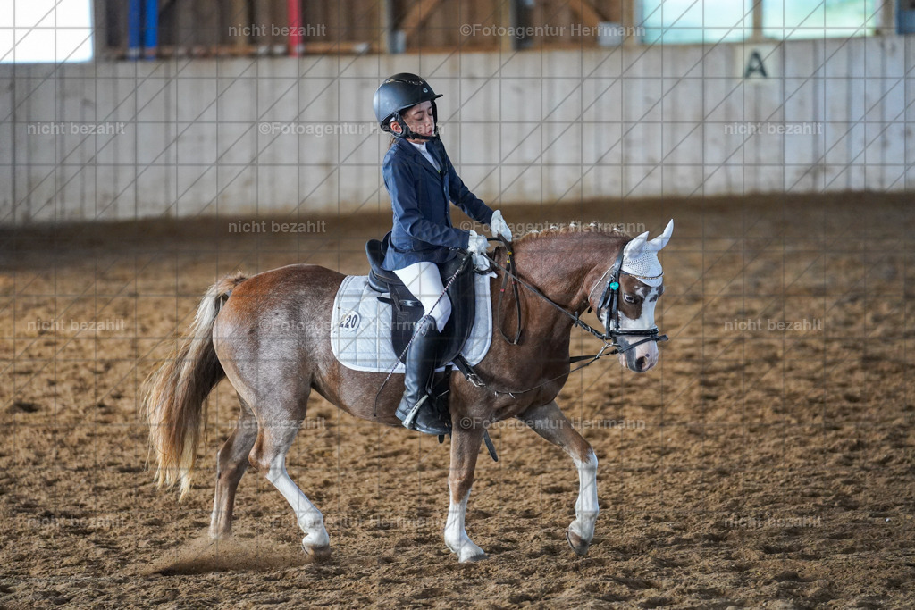20230916-FAH08612 | Landsberg am Lech 2023, Turnierbildern, Turnierbilder Bayern, Reitsportfotograf, Pferdefotograf Bayern, Turnierfotos Landsberg, Fotoagentur Herrmann, Turnierfotografen Bayern