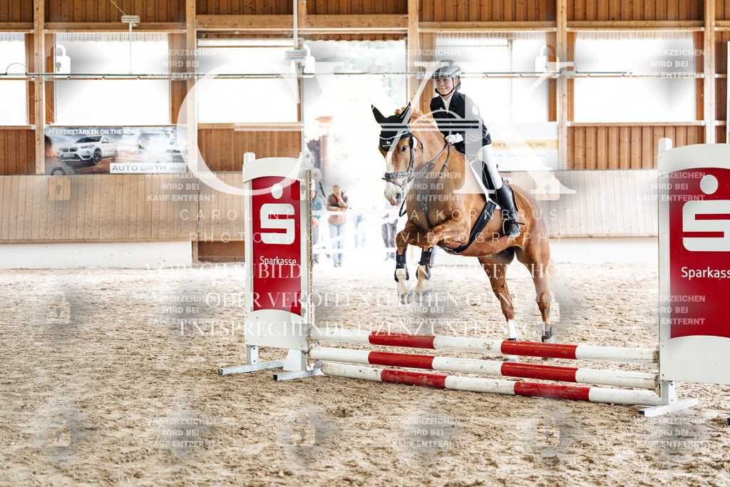 CK902528 | Turnierfotografie Pferdefotografie Trier Rheinland-Pfalz Pferdesport Reitsport Tierfotografie Sportfotografie Pferdevideo Pferdevideografie Equestrianvideography equestrianphotography  - Realisiert mit Pictrs.com