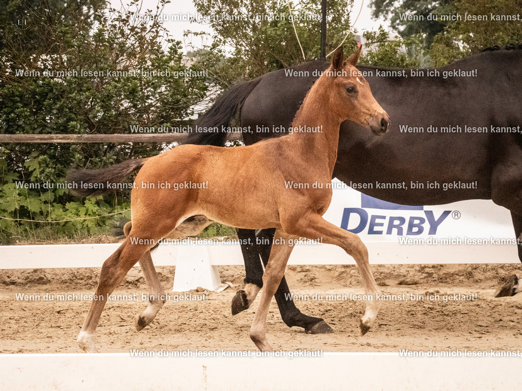 A10I0882 | photographylinaismer - Realisiert mit Pictrs.com