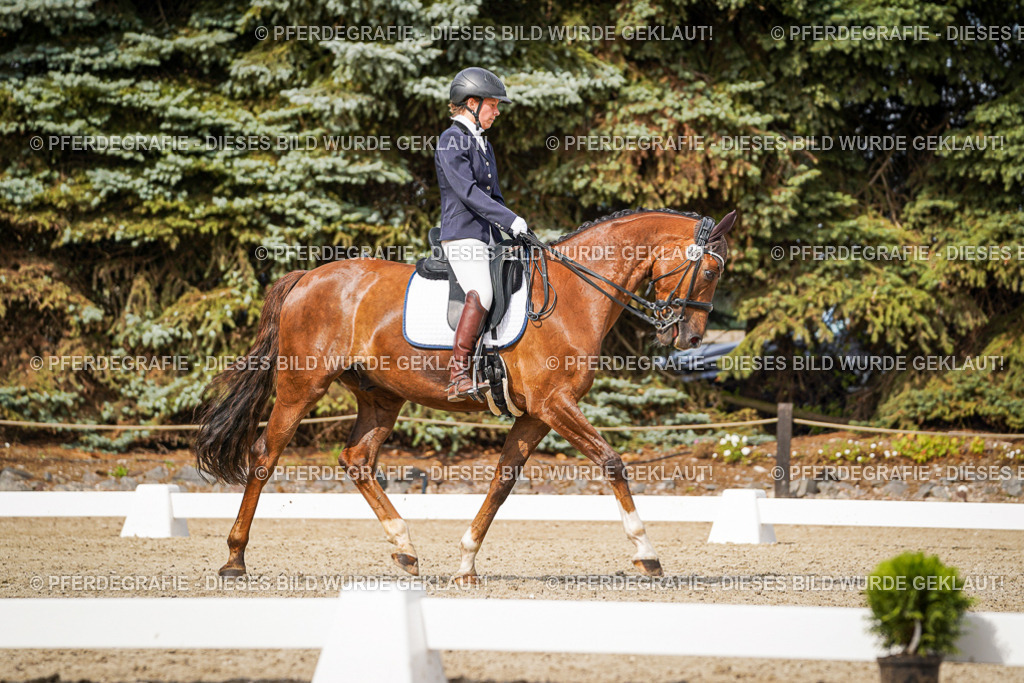 DSC06934 | Pferdegrafie