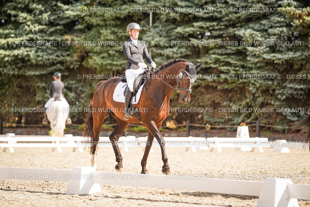 DSC00879 | Pferdegrafie