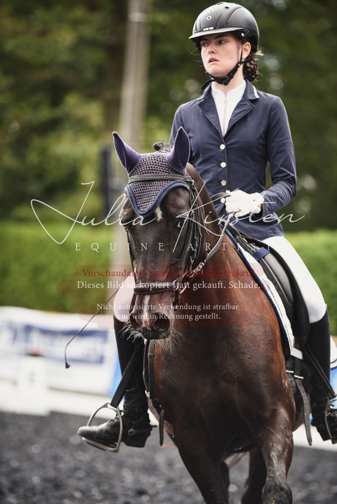 DSC_3926 | Pferde- und Turnierfotografie in Westsachsen. Pferdeportraits, Auftragszeichnungen und intuitive Kunst.