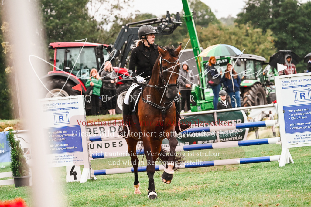 DSC_6562 | Pferde- und Turnierfotografie in Westsachsen. Pferdeportraits, Auftragszeichnungen und intuitive Kunst.