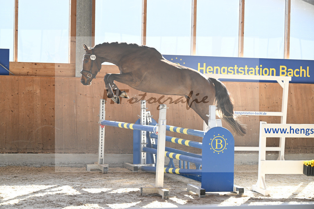 Kat-Nr. 44 Uganos Quabri Sitte v. Ugano Sitte_Keitel u Eder_14261560 | hf-fotografie - Realizzato con Pictrs.com