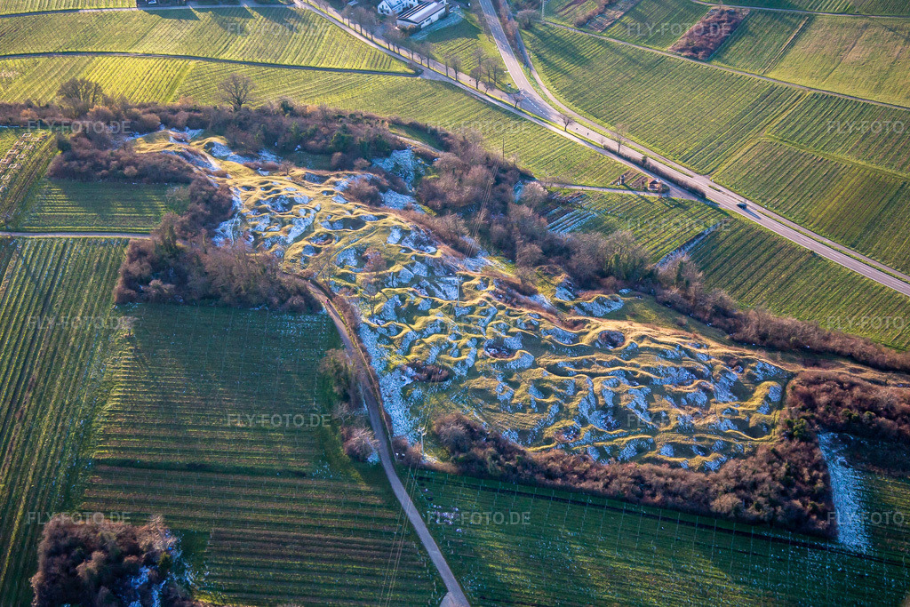 Luftbild: Naturschutzgebiet Kleine Kalmit im Ortsteil Arzheim in Landau im Bundesland Rheinland-Pfalz in Deutschland. Foto: IMG_135811.jpg vom 18.01.2023 durch Werner Riehm/FLY-FOTO.de