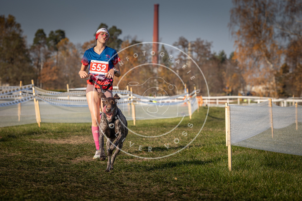 CaniXpix_0L8A9155 | Hundefotografie, Tierfotograf, Pfotenfotografie, Fotoshooting Hund, Hunde Portrait, Hundesport, Hundeportraits, Heideshooting, Hunde, Sportfotograf, Hundefotograf, Turnierhundsport, THS,  - Realisiert mit Pictrs.com