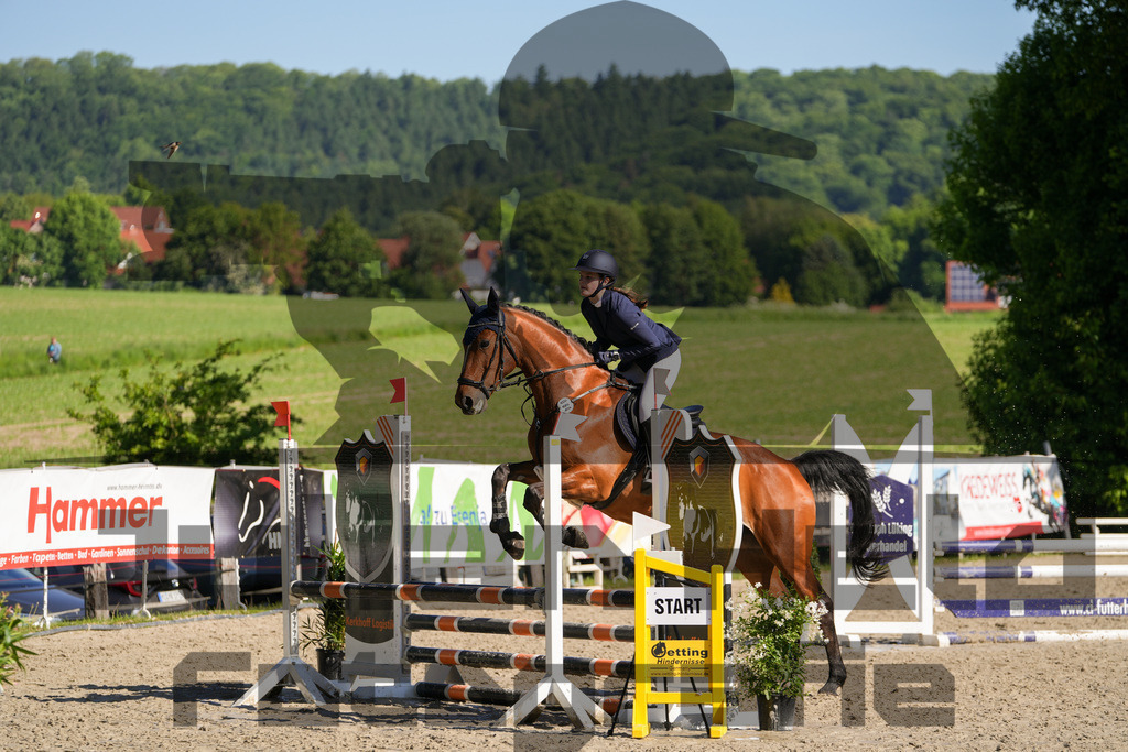 DSC02044 | Julian Held Fotografie - Realisiert mit Pictrs.com