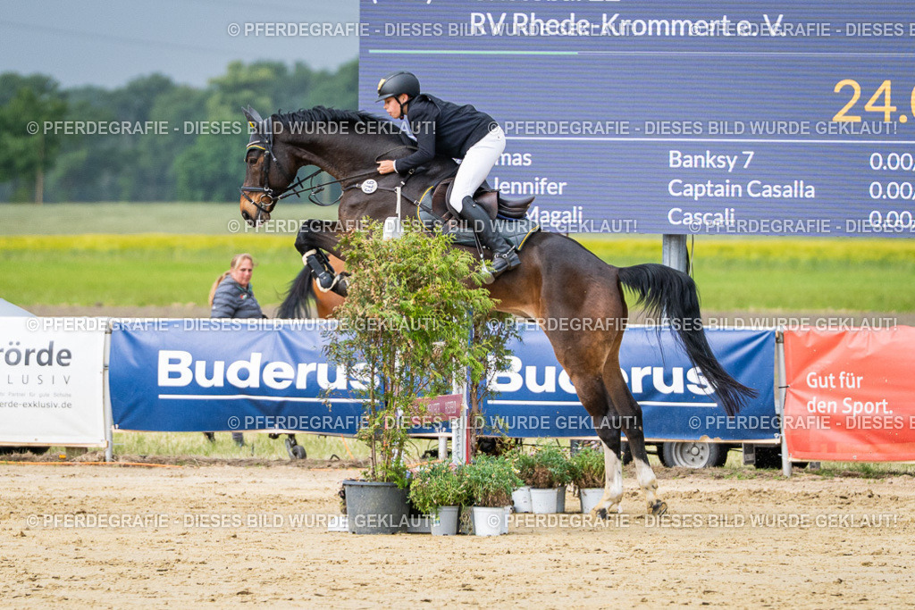 DSC04056 | Pferdegrafie