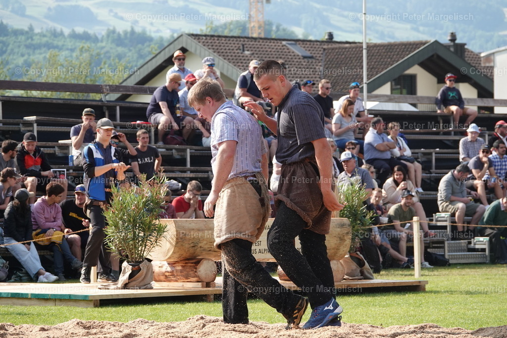 DSC04483 | Schwingen - Realisiert mit Pictrs.com