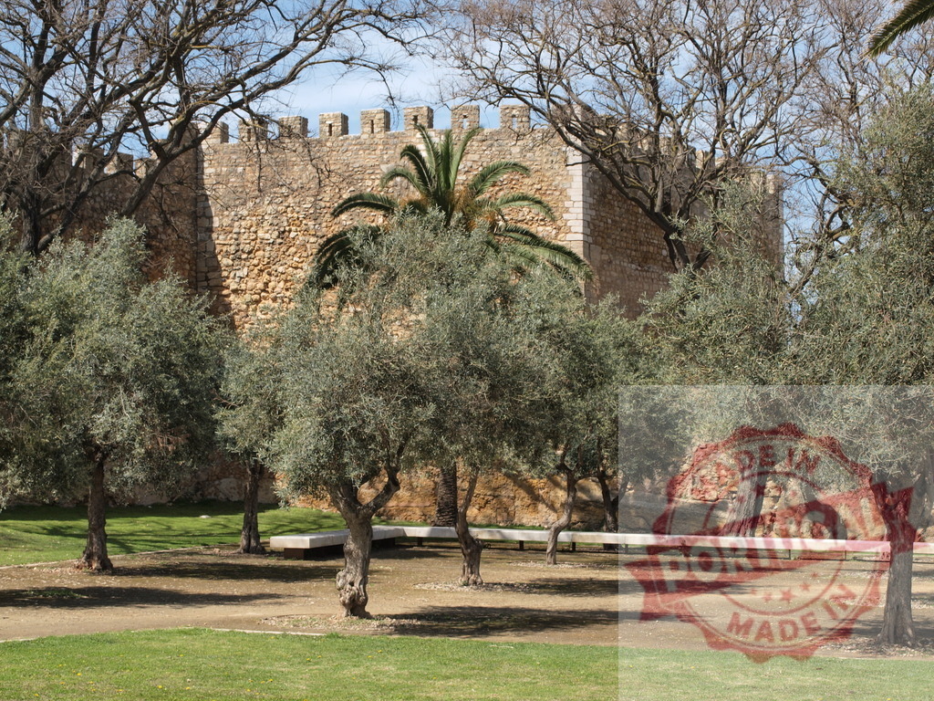 Historic castle wall protecting ancient city through olive trees | Ancient castle wall and battlements rising behind olive trees in a park - Realized with Pictrs.com