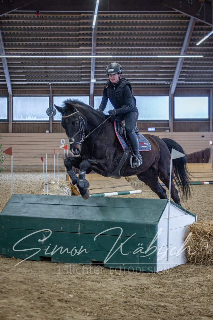 20260221-_3LI8752 | Tierfotografie Pferde, Hunde, Katzen, Haustiere.
Turnierfotografie Reitturniere, Reiten, Springreiten, Dressur in Hanau, dem Main-Kinzig-Kreis und dem Rhein-Main- Gebiet um Frankfurt