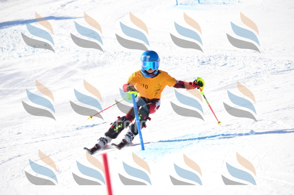 C6272 | holidayphoto