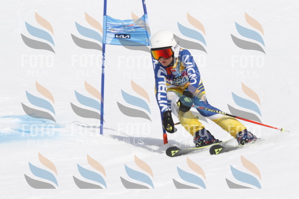 _U3G2452 | holidayphoto