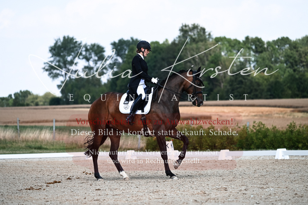 DSC_3099 | Pferde- und Turnierfotografie in Westsachsen. Pferdeportraits, Auftragszeichnungen und intuitive Kunst.
