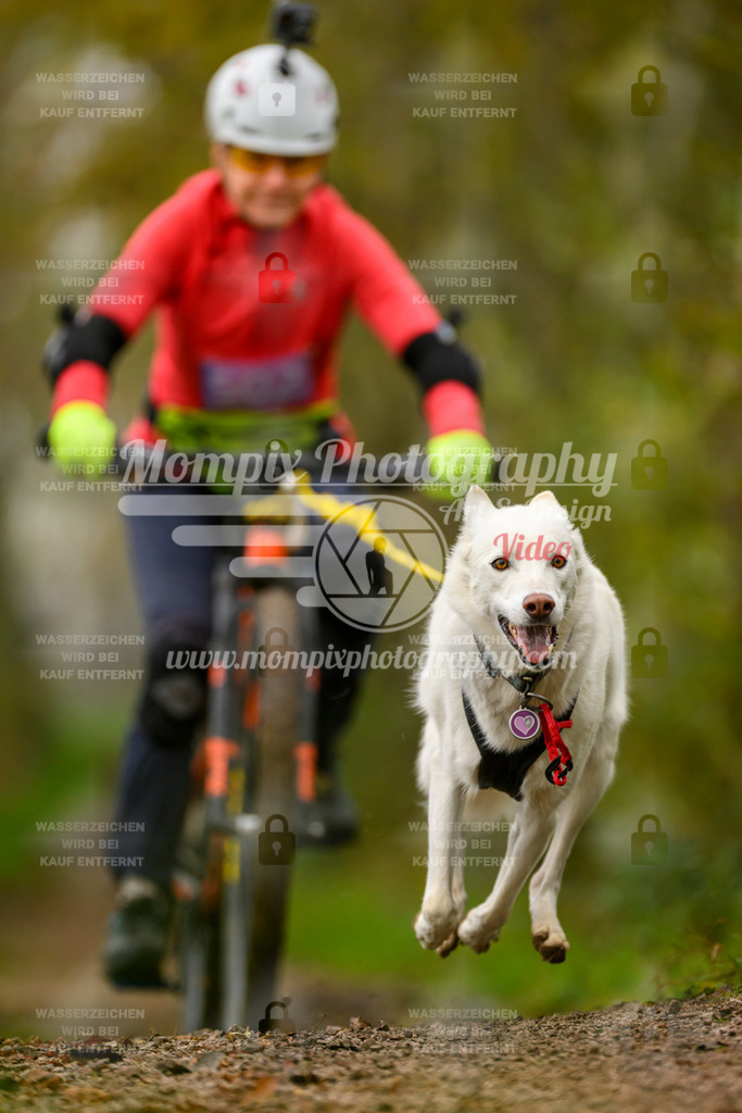 MompixPhotography_20TSB_E6_Bike-169 | PayLife