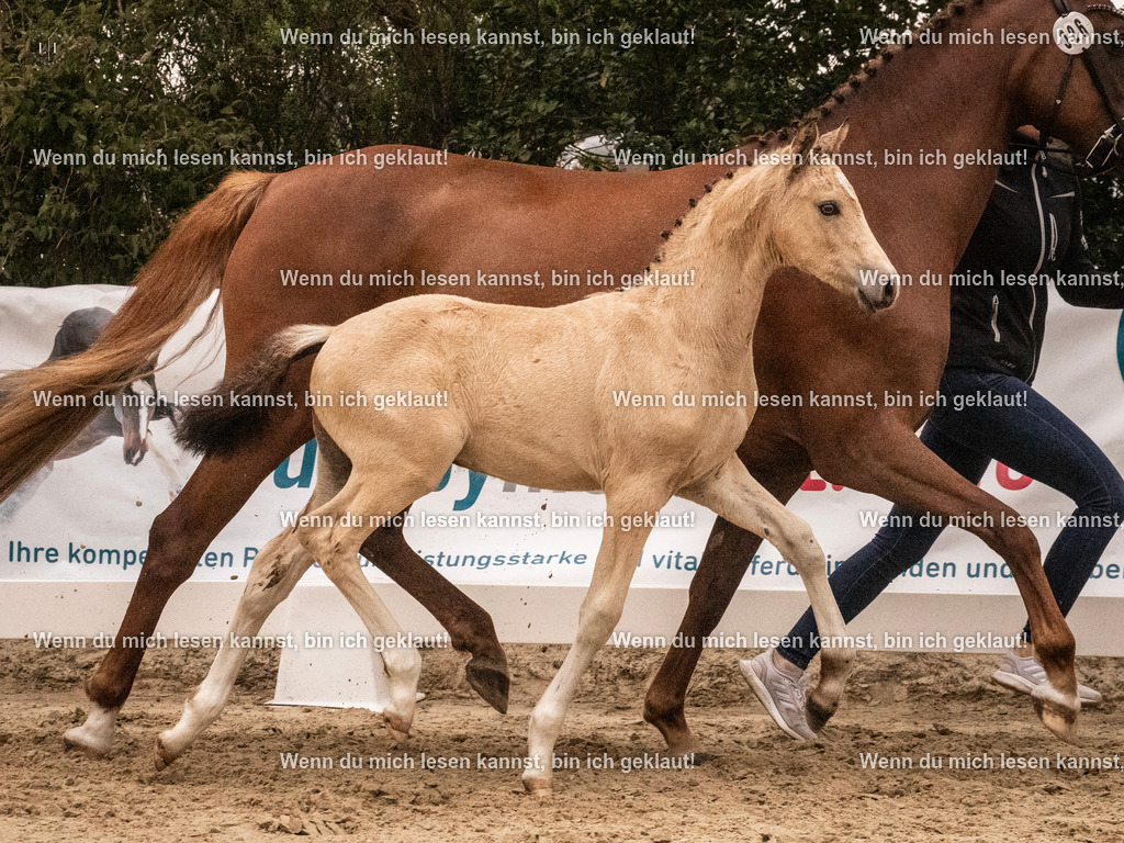A10I1879 15.54.45 | photographylinaismer - Realisiert mit Pictrs.com